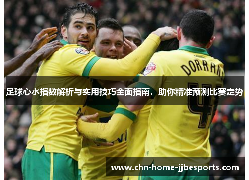 足球心水指数解析与实用技巧全面指南，助你精准预测比赛走势