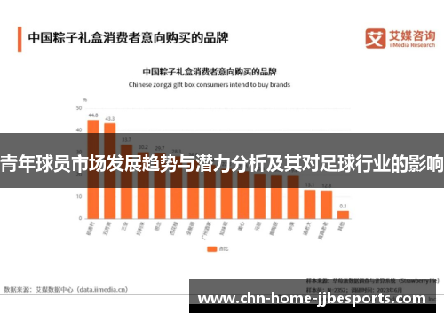 青年球员市场发展趋势与潜力分析及其对足球行业的影响 青年球员市场发展趋势与潜力分析及其对足球行业的影响
