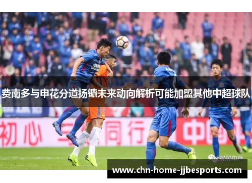费南多与申花分道扬镳未来动向解析可能加盟其他中超球队 费南多与申花分道扬镳未来动向解析可能加盟其他中超球队